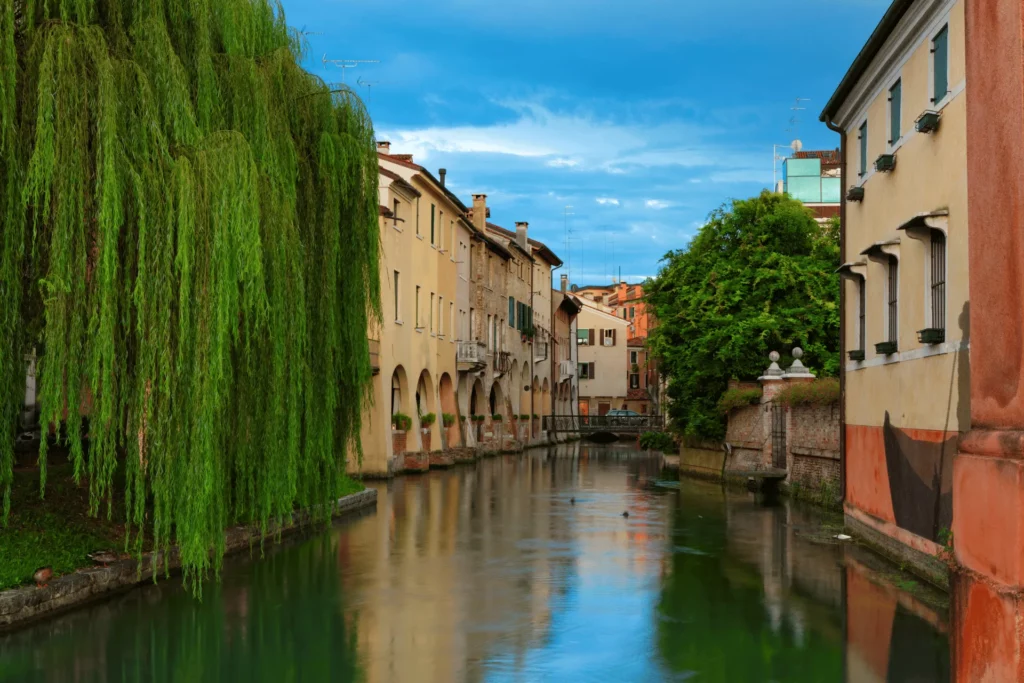 Treviso